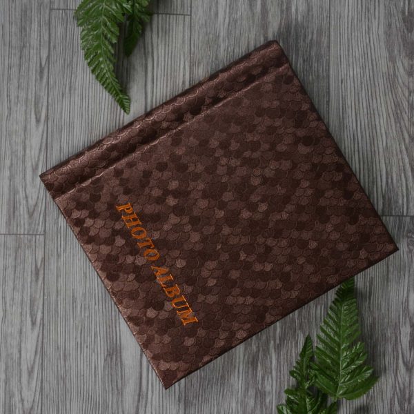 آلبوم عکس خانوادگی