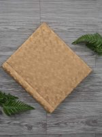 پشت جلد آلبوم چسبی 20*25 طلائی